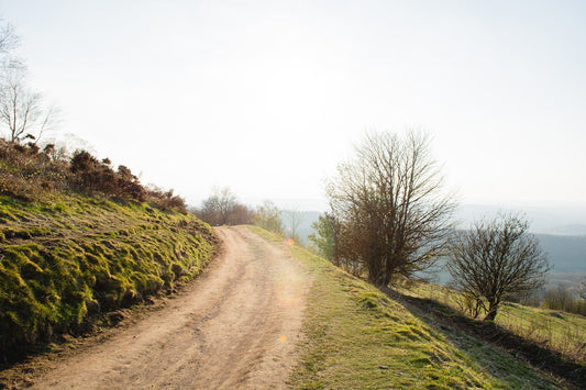How Just 5 Minutes in Nature Can Boost Your Mood