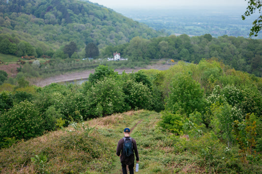 How a Walk in Nature Can Do Wonders for Your Mind